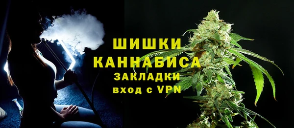 тгк Богородицк