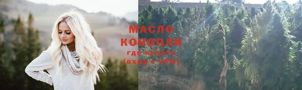 тгк Богородицк