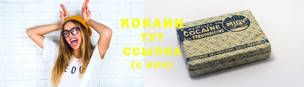 бошки Богданович
