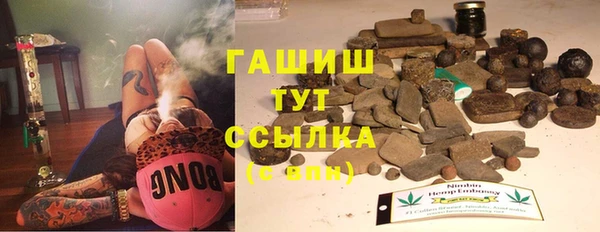 мдпв Богородск