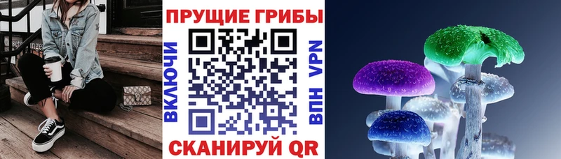 Галлюциногенные грибы MAGIC MUSHROOMS  закладка  Верхний Уфалей 